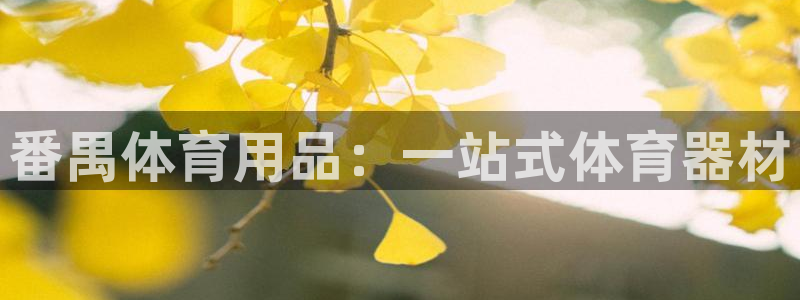 球速体育