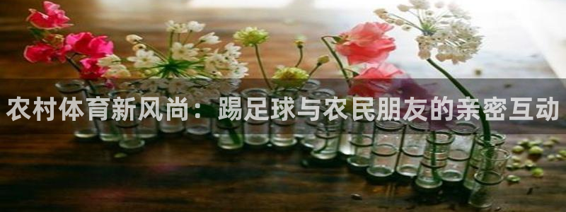 球速体育