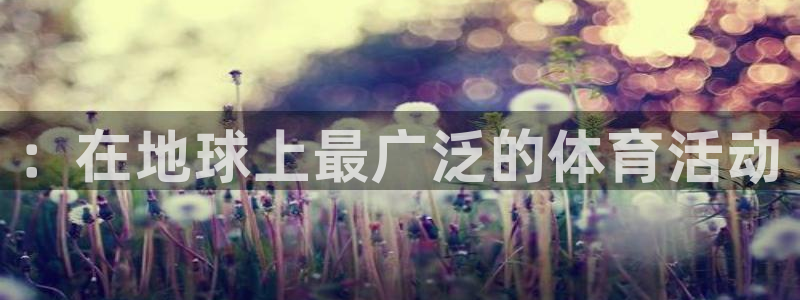 球速体育