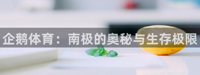 球速体育