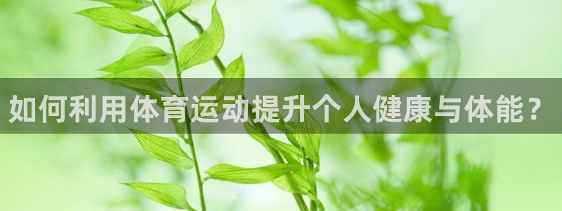 球速体育
