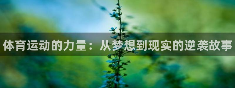 球速体育